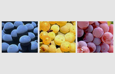 Oro y Bronce en Garnachas del Mundo 2016