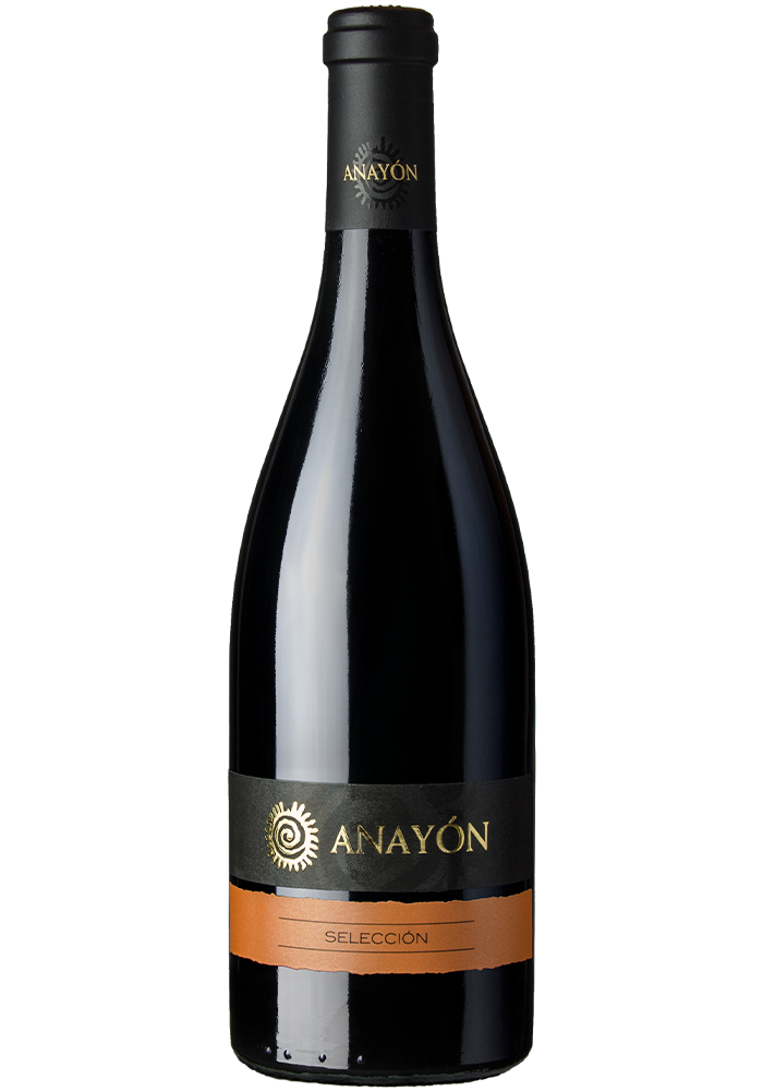 Anayón Selección 2019