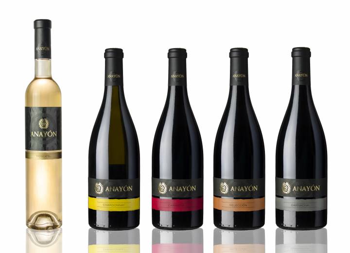 Bodegón de botellas de Anayon