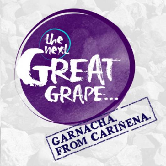 Logo The Next Great Grape 