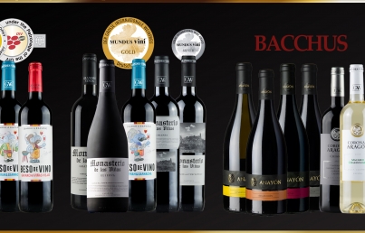 New awards and recognitions to our wines
