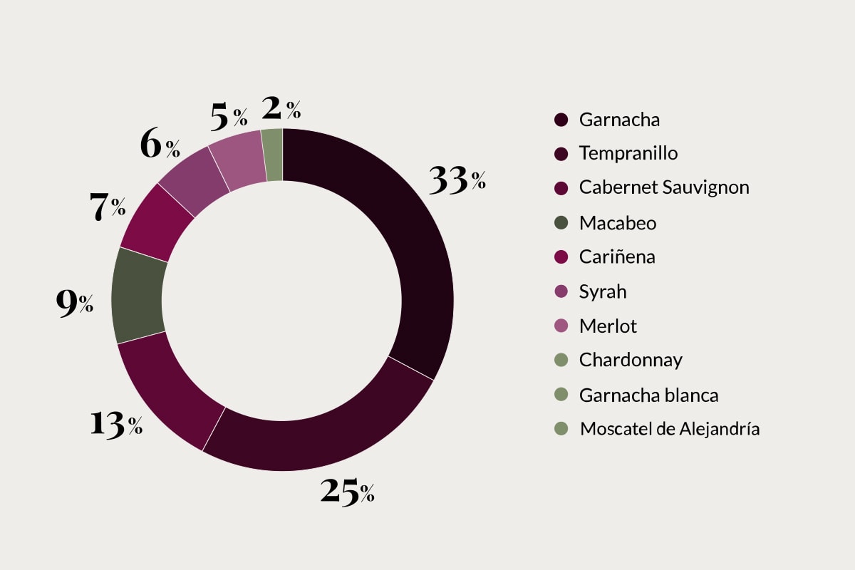 uvas grandes vinos